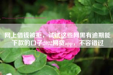 网上借钱被拒，试试这些网黑有逾期能下款的口子2022网贷app，不容错过
