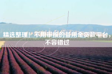 精选整理！不用审核的备用金贷款平台，不容错过