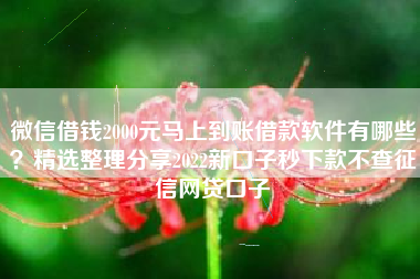 微信借钱2000元马上到账借款软件有哪些？精选整理分享2022新口子秒下款不查征信网贷口子