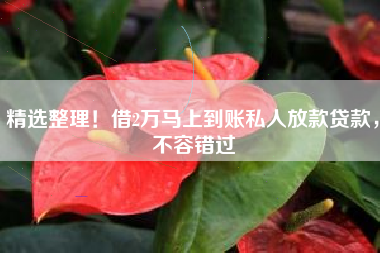 精选整理！借2万马上到账私人放款贷款，不容错过