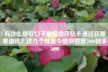 有什么借款口子是综合评估未通过在哪里借钱？这几个就是今借到额度7000到手5000