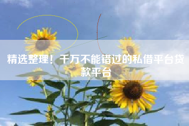 精选整理！千万不能错过的私借平台贷款平台