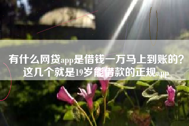 有什么网贷app是借钱一万马上到账的？这几个就是19岁能借款的正规app
