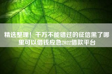 精选整理！千万不能错过的征信黑了哪里可以借钱应急2022借款平台