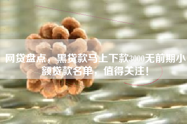 网贷盘点，黑贷款马上下款3000无前期小额贷款名单，值得关注！
