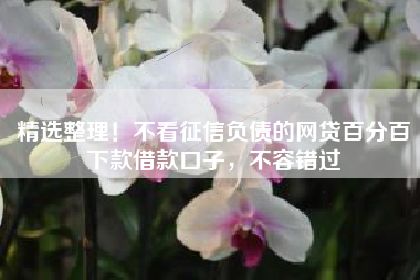精选整理！不看征信负债的网贷百分百下款借款口子，不容错过