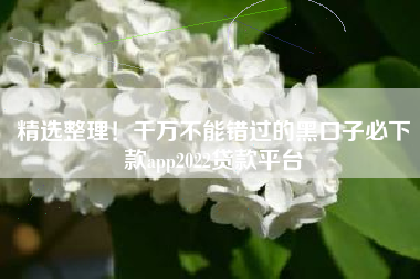 精选整理！千万不能错过的黑口子必下款app2022贷款平台