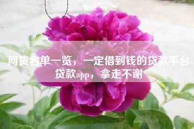 网贷名单一览，一定借到钱的贷款平台贷款app，拿走不谢