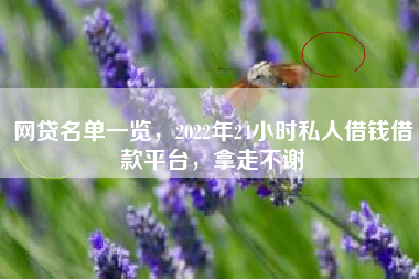 网贷名单一览，2022年24小时私人借钱借款平台，拿走不谢