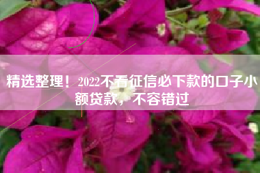 精选整理！2022不看征信必下款的口子小额贷款，不容错过