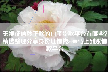 无视征信秒下款的口子贷款平台有哪些？精选整理分享身份证借钱5000马上到账借款平台