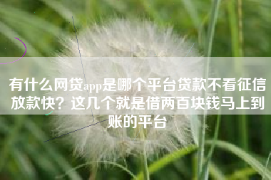 有什么网贷app是哪个平台贷款不看征信放款快？这几个就是借两百块钱马上到账的平台