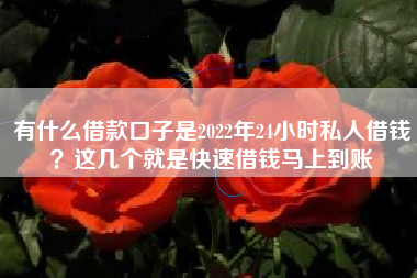 有什么借款口子是2022年24小时私人借钱？这几个就是快速借钱马上到账