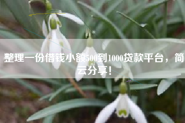 整理一份借钱小额500到1000贷款平台，简云分享！