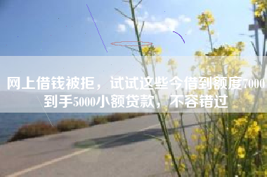 网上借钱被拒，试试这些今借到额度7000到手5000小额贷款，不容错过
