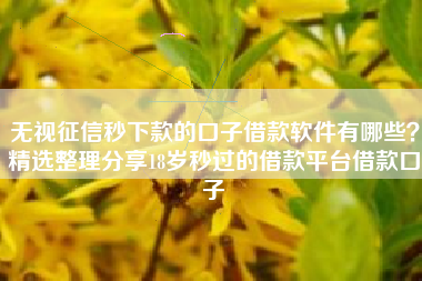 无视征信秒下款的口子借款软件有哪些？精选整理分享18岁秒过的借款平台借款口子