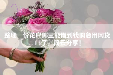 整理一份花户哪里能借到钱啊急用网贷口子，简云分享！