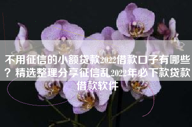 不用征信的小额贷款2022借款口子有哪些？精选整理分享征信乱2022年必下款贷款借款软件