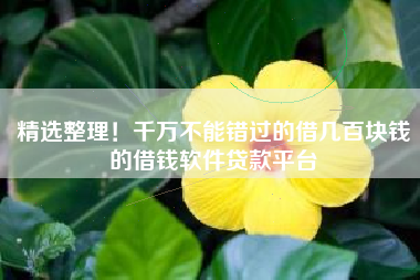 精选整理！千万不能错过的借几百块钱的借钱软件贷款平台