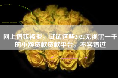 网上借钱被拒，试试这些2022无视黑一千的小额贷款贷款平台，不容错过