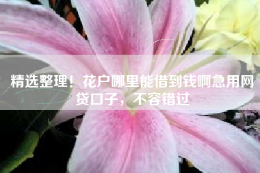 精选整理！花户哪里能借到钱啊急用网贷口子，不容错过