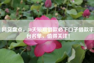 网贷盘点，30天短期借款必下口子借款平台名单，值得关注！