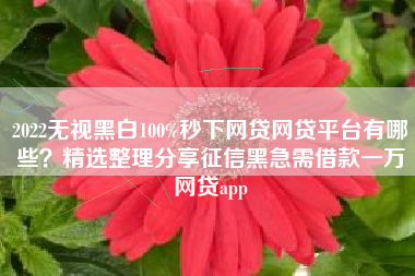 2022无视黑白100%秒下网贷网贷平台有哪些？精选整理分享征信黑急需借款一万网贷app