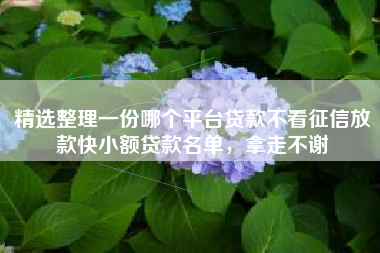 精选整理一份哪个平台贷款不看征信放款快小额贷款名单，拿走不谢