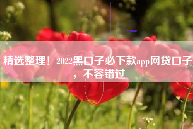 精选整理！2022黑口子必下款app网贷口子，不容错过