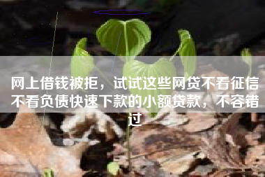 网上借钱被拒，试试这些网贷不看征信不看负债快速下款的小额贷款，不容错过