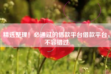 精选整理！必通过的借款平台借款平台，不容错过