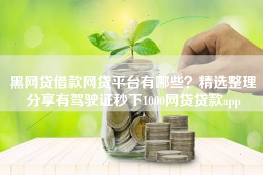 黑网贷借款网贷平台有哪些？精选整理分享有驾驶证秒下1000网贷贷款app