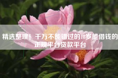 精选整理！千万不能错过的18岁能借钱的正规平台贷款平台