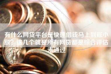 有什么网贷平台是快速借钱马上到账小额？这几个就是所有网贷都是综合评估未通过