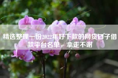 精选整理一份2022年好下款的网贷口子借款平台名单，拿走不谢