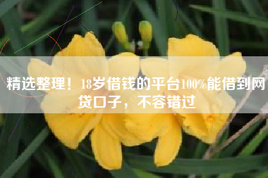 精选整理！18岁借钱的平台100%能借到网贷口子，不容错过