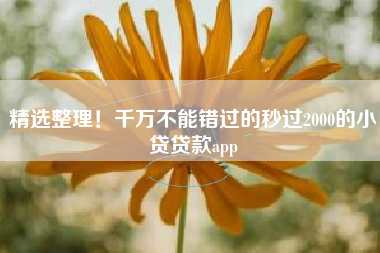 精选整理！千万不能错过的秒过2000的小贷贷款app