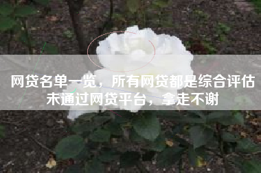 网贷名单一览，所有网贷都是综合评估未通过网贷平台，拿走不谢