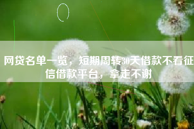 网贷名单一览，短期周转30天借款不看征信借款平台，拿走不谢