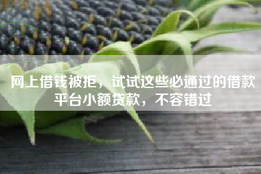 网上借钱被拒，试试这些必通过的借款平台小额贷款，不容错过