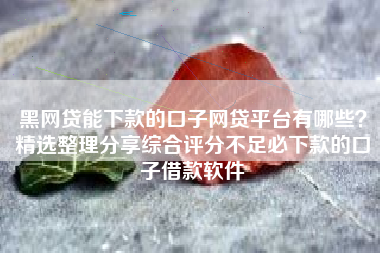 黑网贷能下款的口子网贷平台有哪些？精选整理分享综合评分不足必下款的口子借款软件