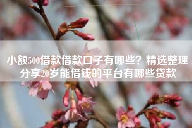 小额500借款借款口子有哪些？精选整理分享20岁能借钱的平台有哪些贷款