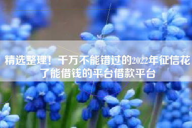 精选整理！千万不能错过的2022年征信花了能借钱的平台借款平台