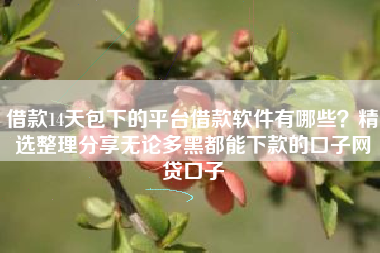 借款14天包下的平台借款软件有哪些？精选整理分享无论多黑都能下款的口子网贷口子