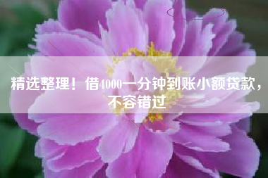 精选整理！借4000一分钟到账小额贷款，不容错过