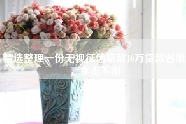 精选整理一份无视征信贷款10万贷款名单，拿走不谢