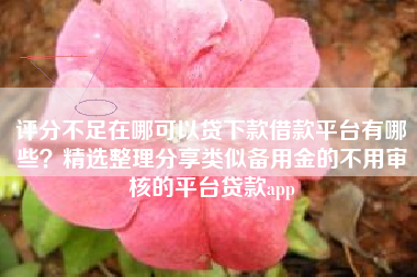评分不足在哪可以贷下款借款平台有哪些？精选整理分享类似备用金的不用审核的平台贷款app