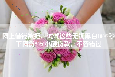 网上借钱被拒，试试这些无视黑白100%秒下网贷2020小额贷款，不容错过