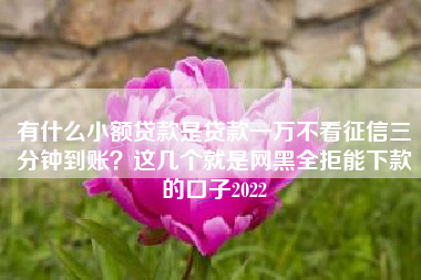 有什么小额贷款是贷款一万不看征信三分钟到账？这几个就是网黑全拒能下款的口子2022