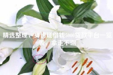 精选整理，身份证借钱5000贷款平台一览表，拿走不谢